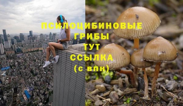 эйфоретик Покров