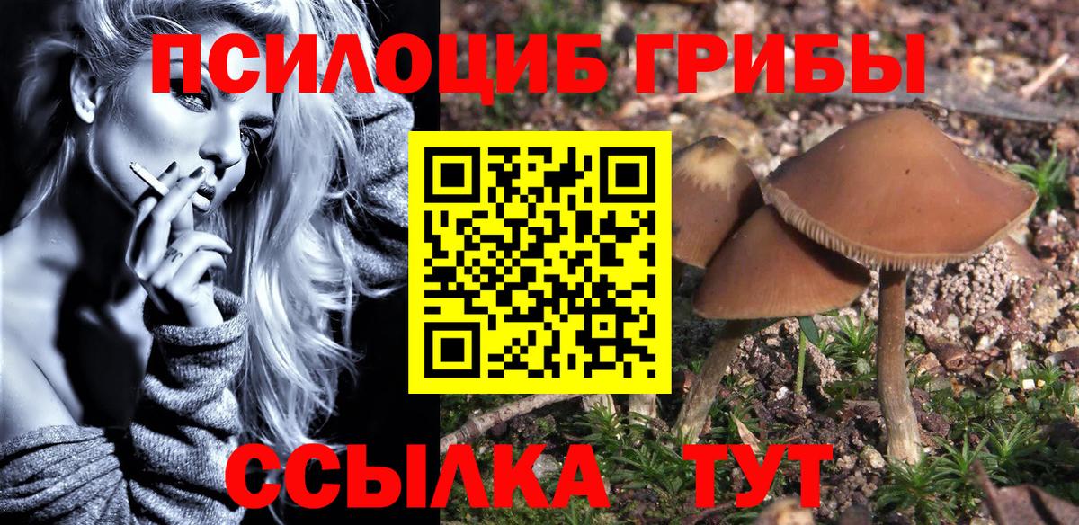 Северодвинск  купить наркотики цена  Галлюциногенные грибы Magic Shrooms  Вход с VPN  Галлюциногенные грибы мухоморы 