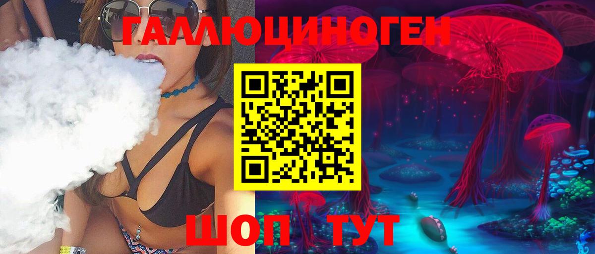 Галлюциногенные грибы Psilocybe Северодвинск